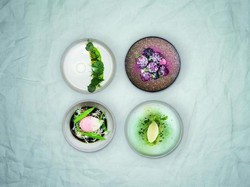 Bahan Makanan yang Ditanam dari Pakaian Bekas Ini Disajikan Sebagai Hidangan Lezat