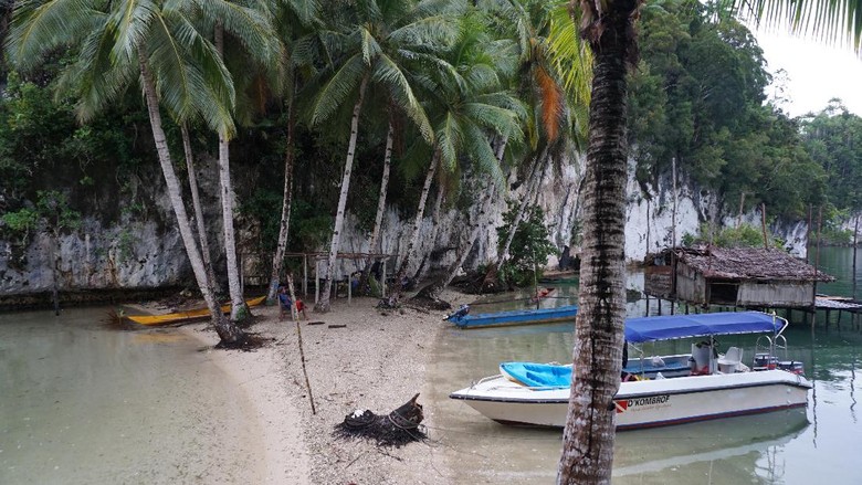 Manyaifun berpasir putih (Masaul/detikTravel)