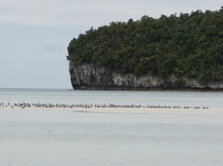 Pasir Timbul Raja Ampat, Sekarang Cantik Dulu Disepelekan