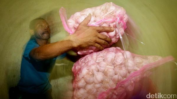 Harga Bawang Putih Terus Merangkak Naik