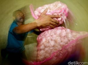 Harga Bawang Putih Naik Gara-gara Pasokan Tersendat Harga Bawang Putih Naik Gara-gara Pasokan Tersendat