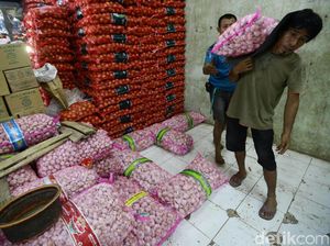 Tambah Stok, Bulog Impor 500 Ton Bawang Putih dari China
