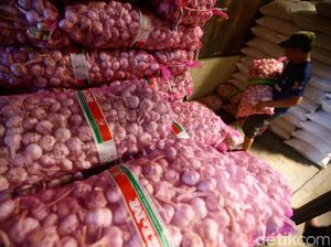 Impor Bawang Putih Batal karena Stok Masih Cukup 3 Bulan