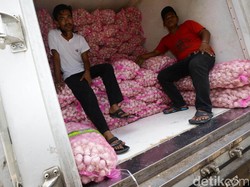 Impor Dibuka Sejak 1998, Bawang Putih China Mengalir ke RI
