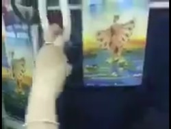 Viral Video 2 Wanita Jambak-Jambakan di KRL, KCJ Ingatkan Sanksi