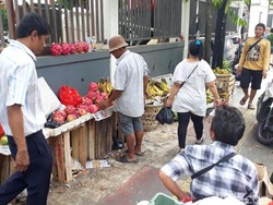 Kemarin Ditertibkan, Pedagang Buah Kaki Lima Kembali Jualan di Trotoar