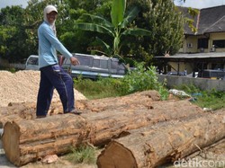 Polres Rembang Bekuk Komplotan Pencuri Kayu