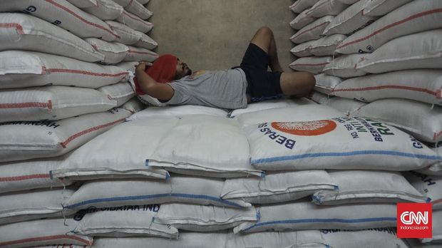 Polemik Impor Beras, Menko Darmin Salahkan Data Kementan