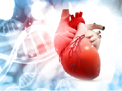 Gagal Jantung Penyakit Berbahaya yang Harus Diwaspadai