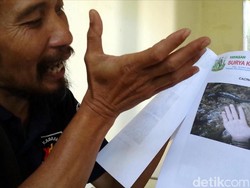 Hari Bumi, Penggiat Lingkungan Soroti Kerusakan Hutan Pangrango