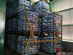 Diduga Timbun Bawang Putih Selundupan, PT TPI: Kami Punya Dokumen