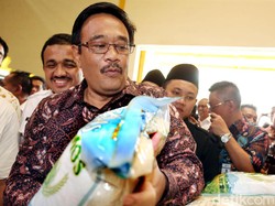 Sibuk Kerja, Djarot Minta Sinkronisasi Program Anies Lewat DPRD