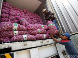 Soal Polemik RIPH Impor Bawang, Ini Respons Badan Karantina