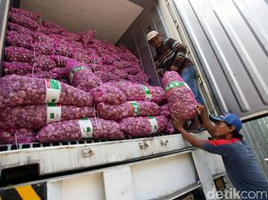 Soal Polemik RIPH Impor Bawang, Ini Respons Badan Karantina Soal Polemik RIPH Impor Bawang, Ini Respons Badan Karantina