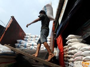 Disparitas Harga Beras Tinggi, Begini Alurnya Hingga ke Konsumen Disparitas Harga Beras Tinggi, Begini Alurnya Hingga ke Konsumen