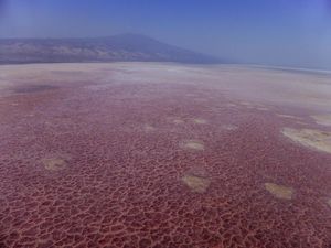 Danau Merah yang Penuh Misteri hingga Ubah Hewan Jadi Batu Danau Merah yang Penuh Misteri hingga Ubah Hewan Jadi Batu