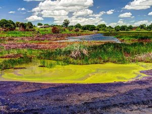 Aneh Banget, Danau Ini Isinya Aspal Lengket