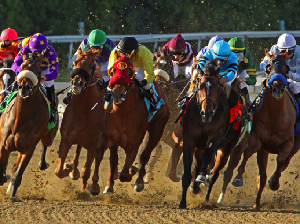 Hormati Ramadan, Festival 1001 Kuda Sumba Diundur Bulan Juli