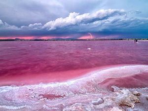 Tanpa Photoshop! 5 Danau Pink Sungguhan Ada di Dunia Tanpa Photoshop! 5 Danau Pink Sungguhan Ada di Dunia