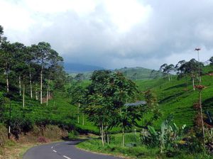 Mengenal Kades Kemuning, Tokoh Hindu Pemimpin Desa Toleransi di Karanganyar