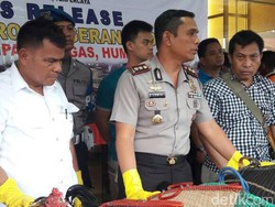 Polisi Tangkap Pelaku Judi Sabung Ayam di Tangerang