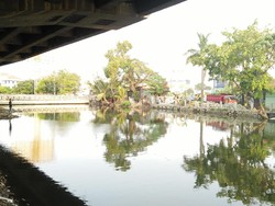 Kali Ancol Diduga Tercemar Limbah, Puluhan Ikan Mati Mendadak