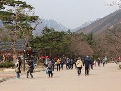 Bersorak Ria di Gunung Seorak, Korea Selatan