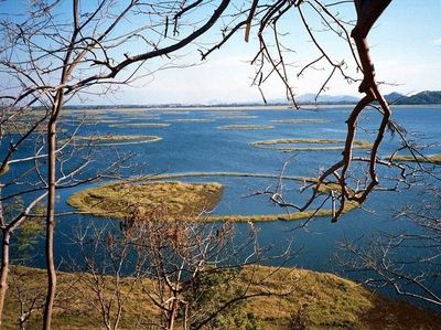 Foto: Danau Ajaib yang Pulaunya Bisa Bergerak Sendiri