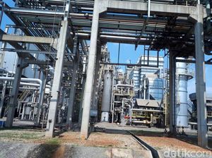 Impor Potasium dari Rusia Mahal, Pupuk Kujang Lirik Laos