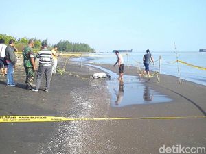 Mayat Terbungkus Karung Ditemukan di Pantai Kabupaten Tegal