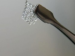 Ovarium Buatan dari Cetakan 3D Sukses Kembalikan Kesuburan Tikus