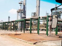 Pupuk Kujang Bakal Salurkan 632.000 Ton Urea Bersubsidi di 2017