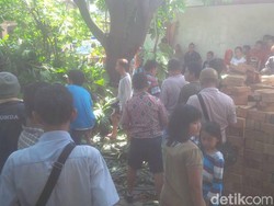 Potong Pohon Sukun, Sudar Tewas Tersengat Listrik