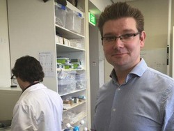 Bahan Penyaring Air dari Merkuri Diproduksi Massal di Adelaide