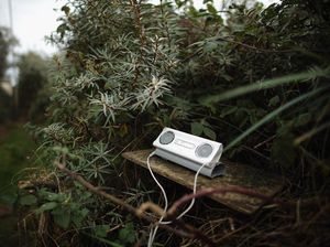 Hilangnya MP3 Belum Tentu Bisa Hapus Pembajakan