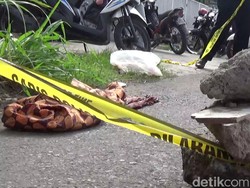 Jasad Bayi Digigit Anjing Gemparkan Cihideung Tasikmalaya