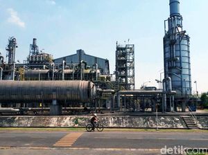 Hampir 50% Bahan Baku Industri Petrokimia RI Masih Impor