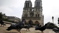 Berwisata di Notre Dome Paris