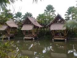 Nyaman Banget Nih, Restoran yang Cocok Buat Kumpul