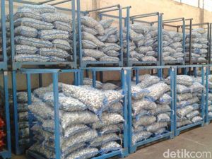 Jelang Puasa Banyak Kasus Penimbunan Bawang Putih Hingga Beras Dioplos