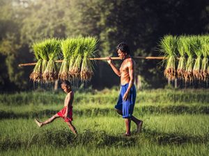 Program GSC Efektif Tingkatkan Taraf Hidup Masyarakat
