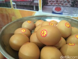 Modal Rp 12,9 Juta Bisa Jadi Juragan Telur se-Kelurahan