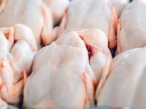 Minggu Ini Mau Belanja Daging Ayam? Ikuti 4 Panduan Ini