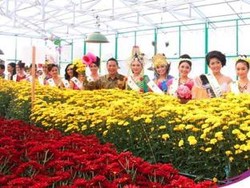 Yuk Datang ke Tomohon, Ada Festival Bunga Hias Internasional
