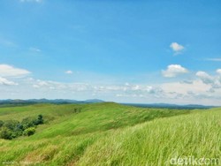Bukan di Eropa, Ini di Kalimantan Selatan