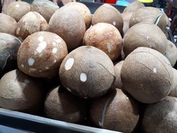 Mau Beli Kelapa untuk Santan atau Taburan Kue? Ketahui Dulu 4 Hal Ini