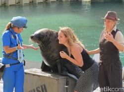 Inikah Taman Rekreasi Terbaik di Australia?