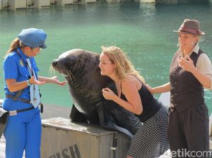 Inikah Taman Rekreasi Terbaik di Australia? Inikah Taman Rekreasi Terbaik di Australia?