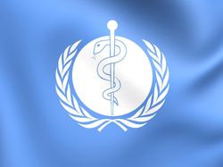 WHO Soroti Keputusan Inggris Izinkan 60 Ribu Fans Nonton di Wembley