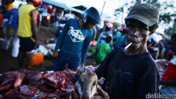 Pasar Gelap Merauke Ramai Jual Beli Kanguru Papua